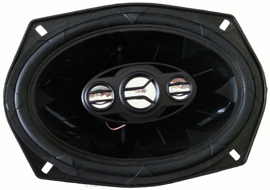 P.017 Alto Falante Quadriaxial 6x9.jpg